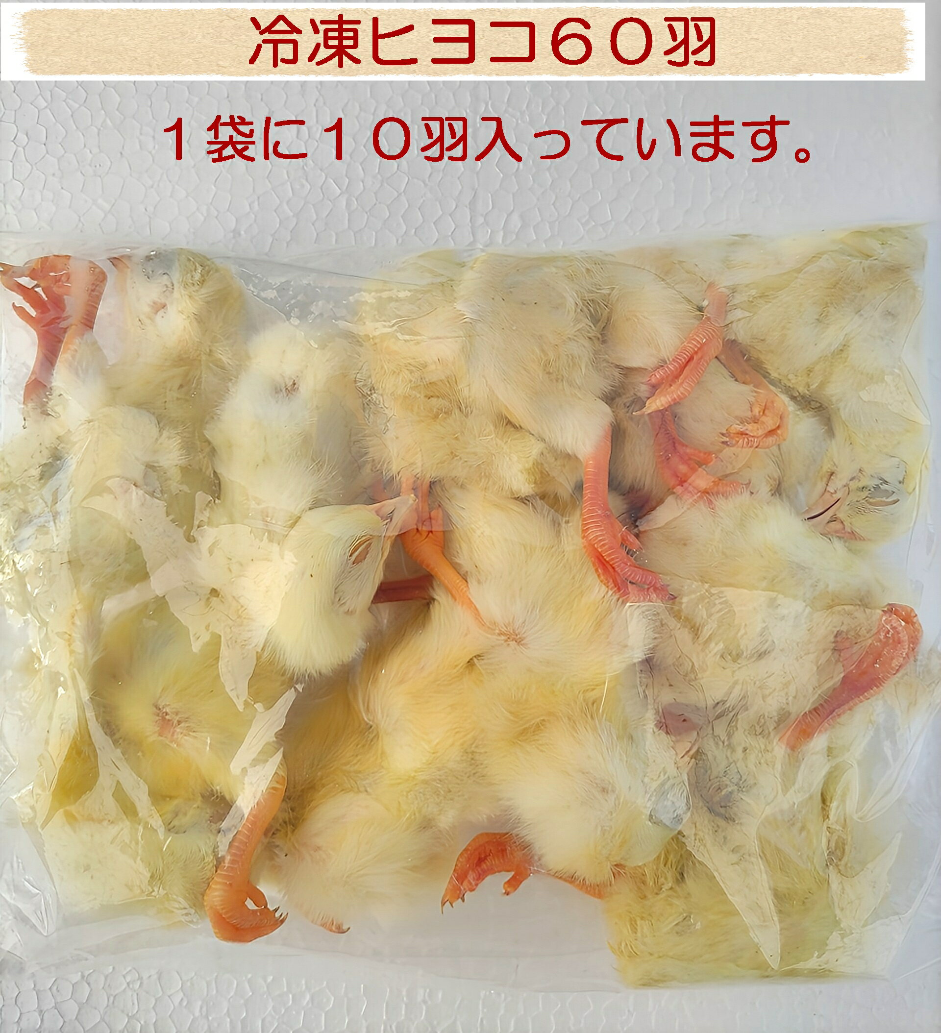 楽天市場】冷凍ヒヨコの通販