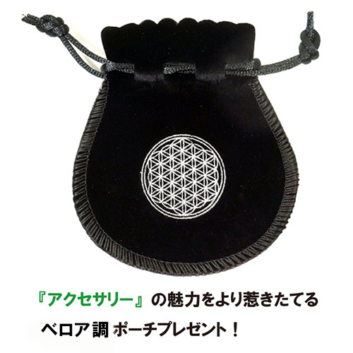 楽天市場】フリーメイソン 五芒星（ペンタグラム） ウロボロス