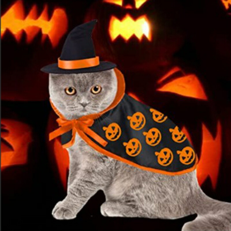楽天市場】【送料無料】ハロウィン 猫用服 ペット服 パンプキン