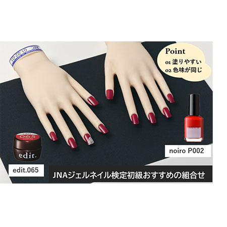 JNAジェル検定初級に必要な用具（新品） JNAジェル検定初級に必要な