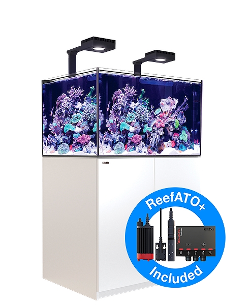 飼育用品・器具】【大型商品送料別途】【お取り寄せ】【Red Sea