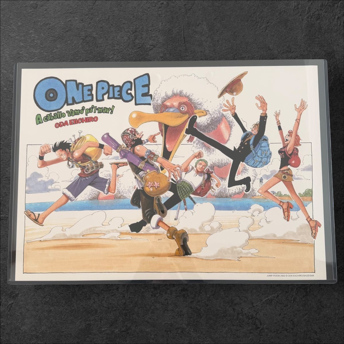 ONE PIECE オーロラポスター B2サイズ 週刊少年ジャンプ 定期購読者