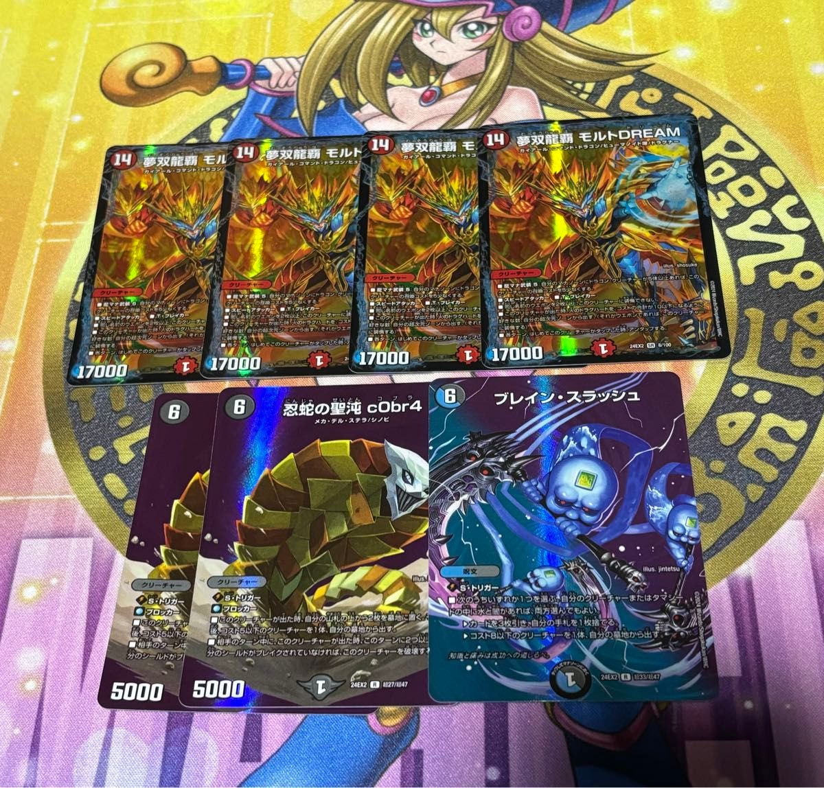 無双龍覇モルトDREAM 金 4枚 夢双龍覇モルトDream 金 4