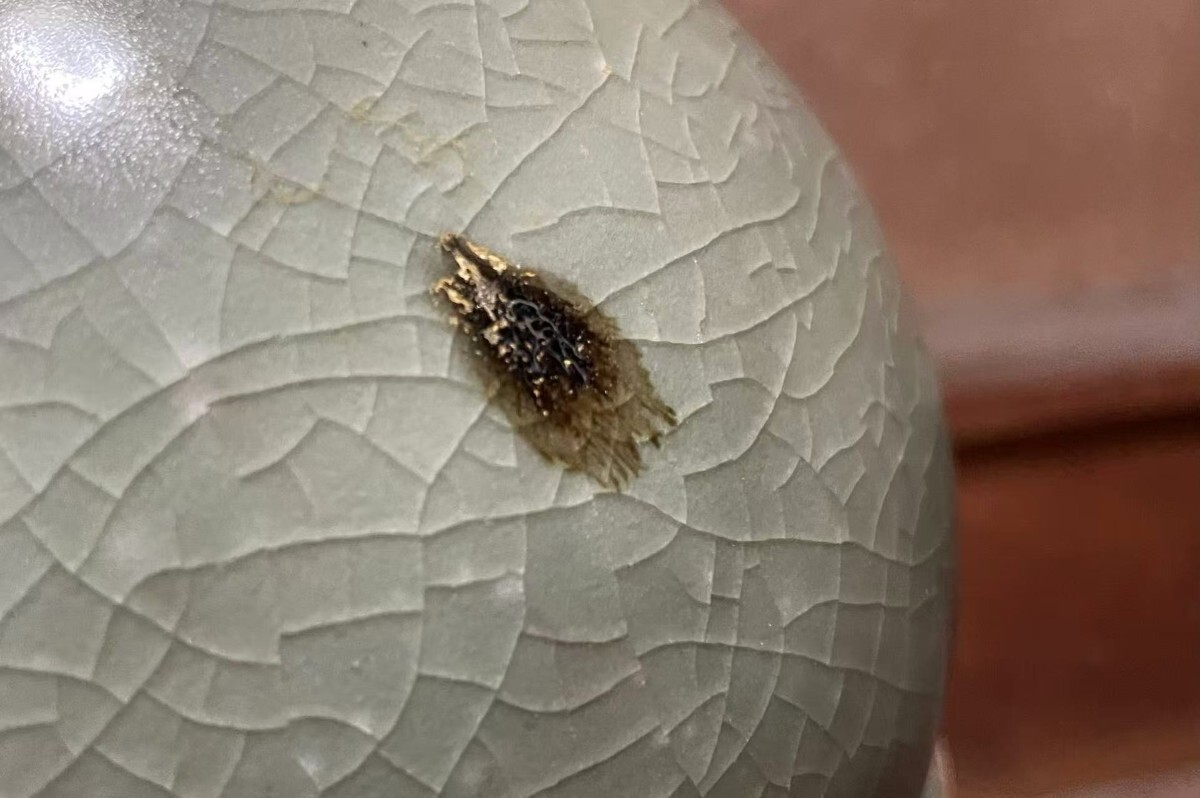 コレクター放出品 中国古美術 玉壺春瓶 龍泉窯 天龍寺 青磁 骨董品 唐