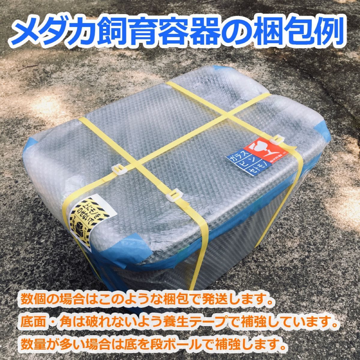 メダカ飼育ケース 40㍑トロ舟x4個 オーバーフロー対策済 メダカ飼育