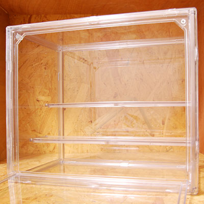 ダイソー 透明コレクションケース 組み立てタイプ 12個 透明