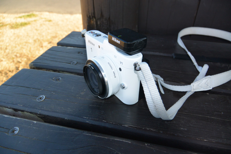 1 Nikkor 10mmf/2.8 - Great Spangled Weblog