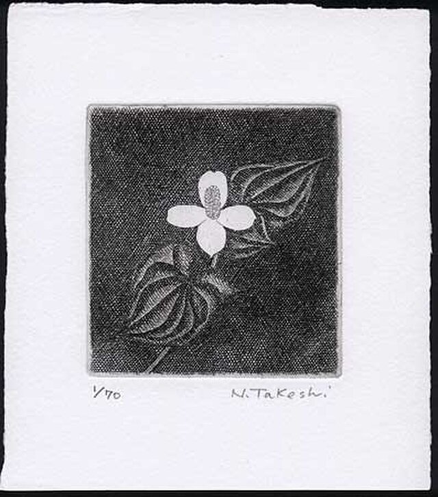 白い花・2018B/ 銅版画 (作品のみ） | iichi 日々の暮らしを心地よく