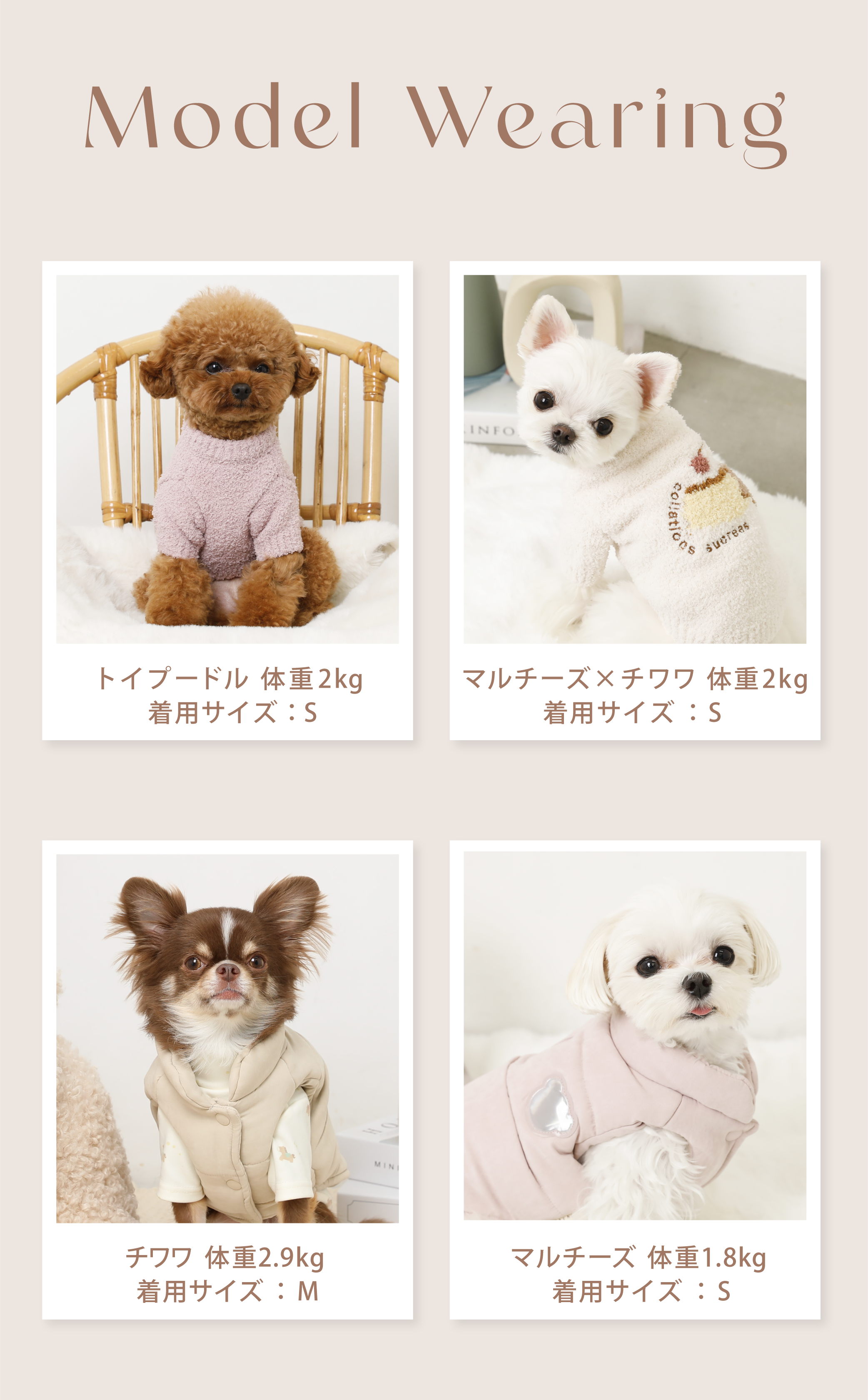 2026 Happy Bag – moncheri