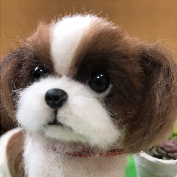 NEW＞シーズー☆羊毛フェルト人形☆【1点限定販売】 羊毛フェルト