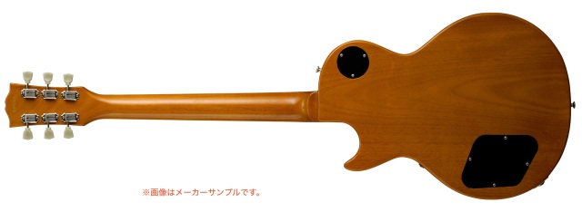 数量限定特価】【送料無料】EDWARDS E-LP-STD/P Gold Top《エドワーズ