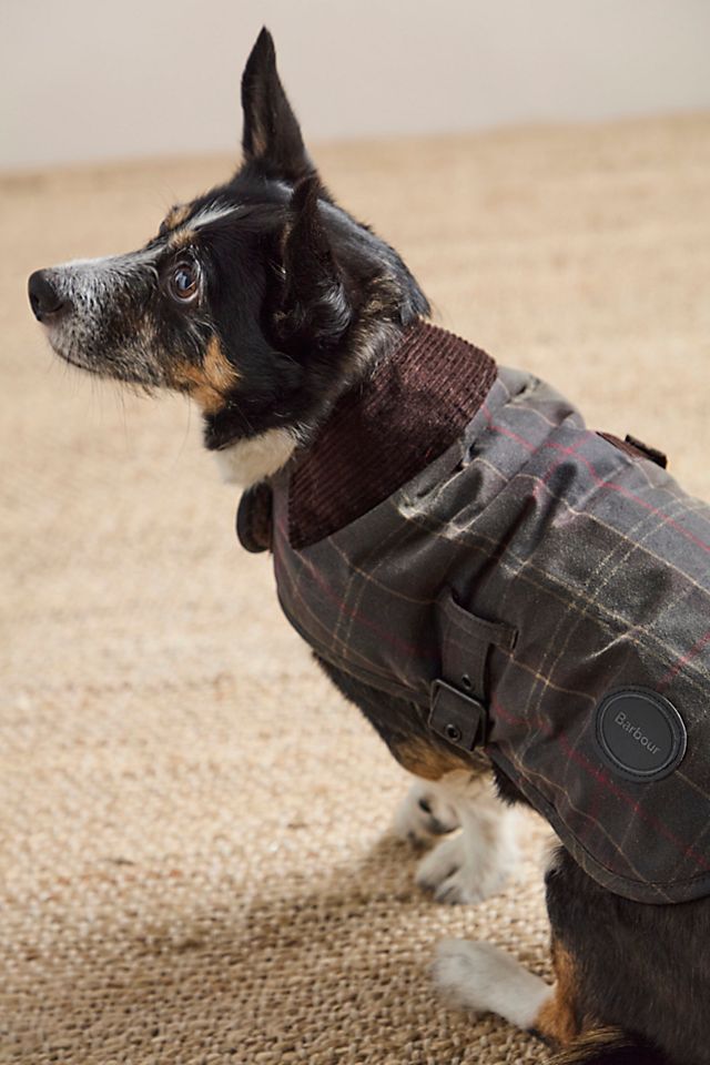 Barbour Wax Dog Coat | Free People