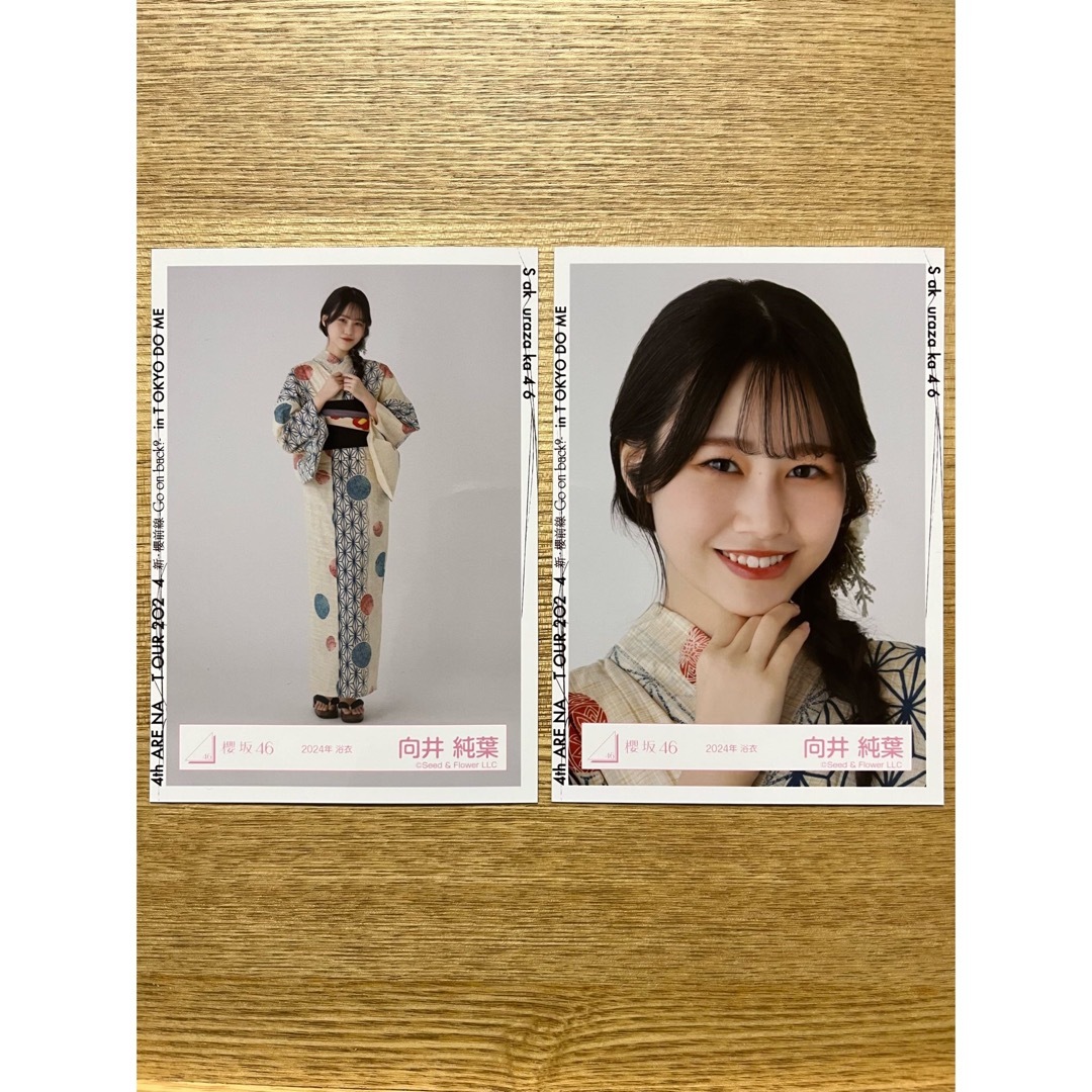 櫻坂46 向井純葉 直筆サイン入り生写真 2024年浴衣