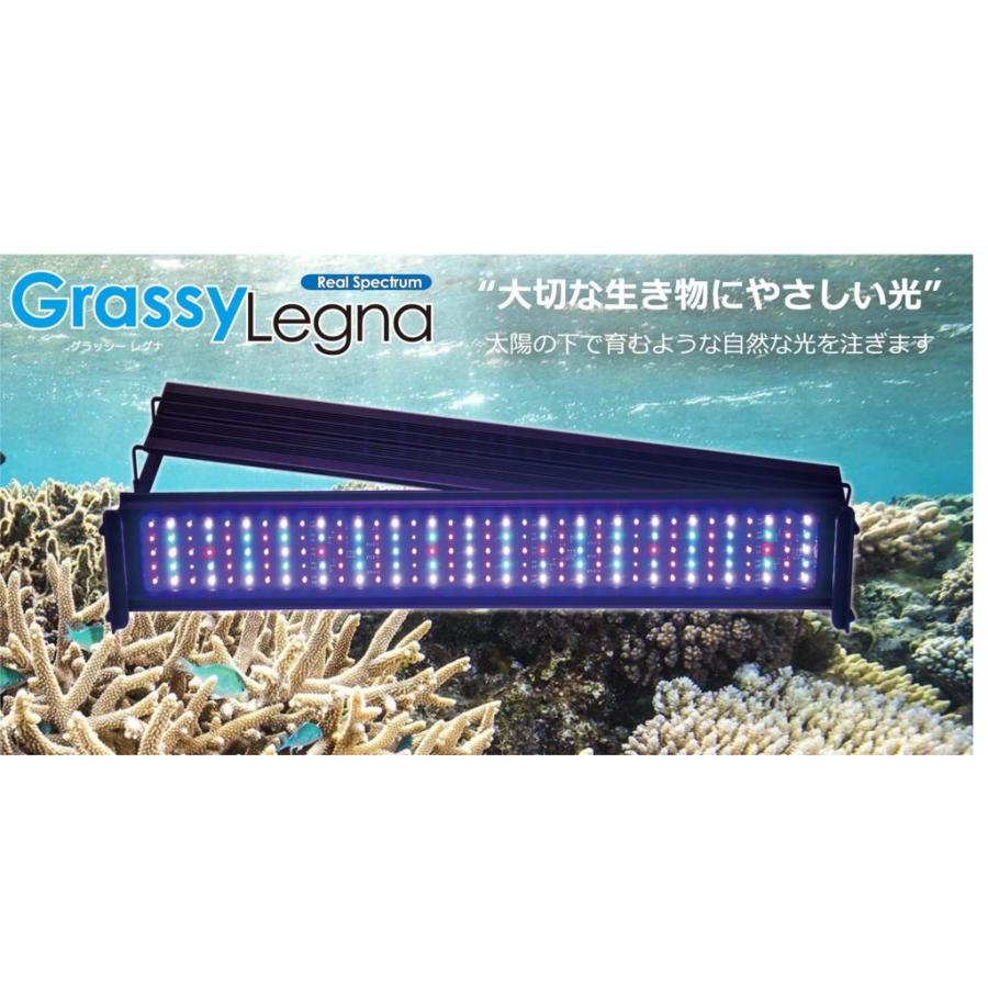 volxjapan（ボルクスジャパン） 【全国送料無料】 グラッシーレグナ