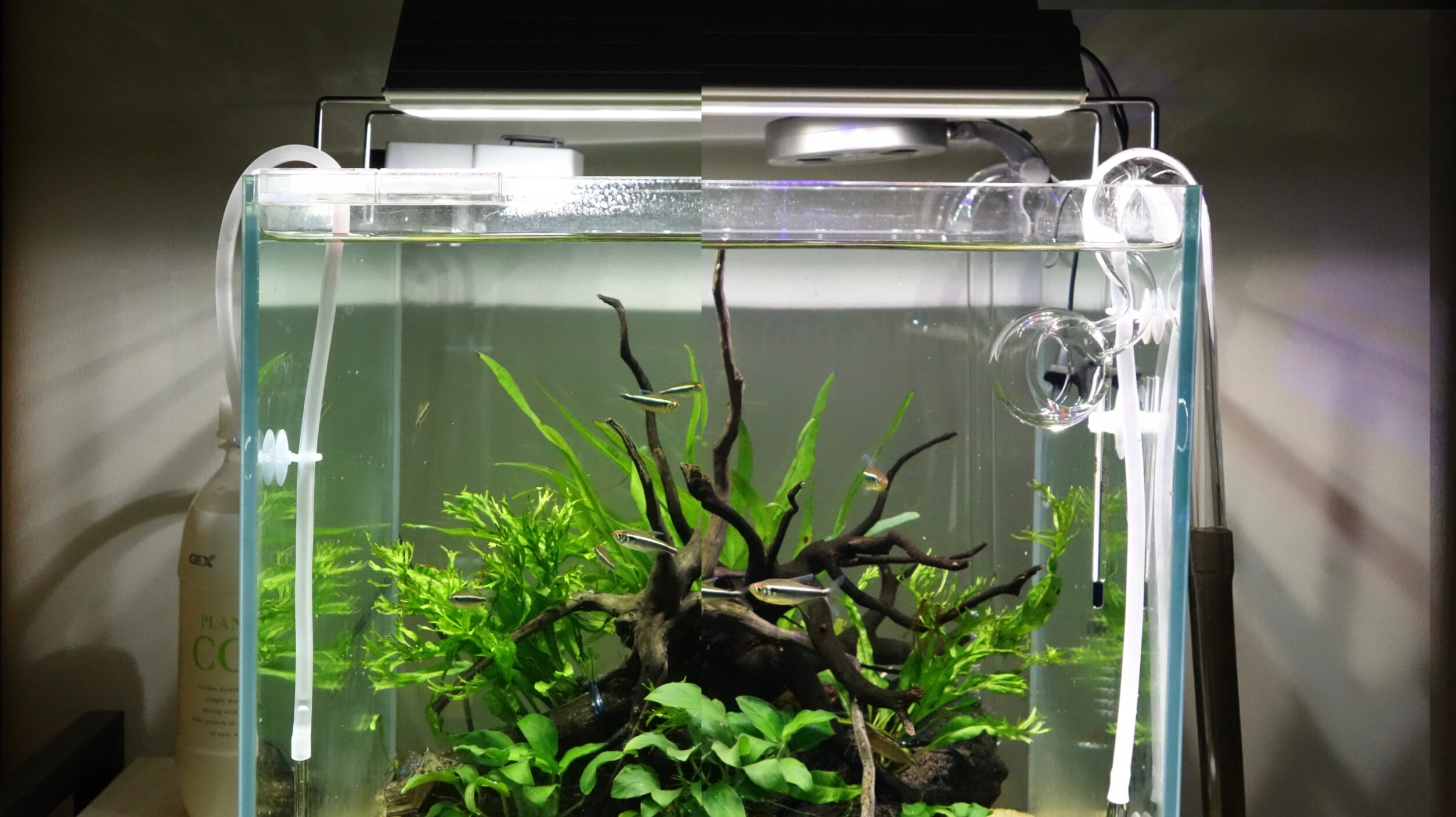 アクロ トライアングルグロープロ 600❗️ アクロ TRIANGLE LED GROW