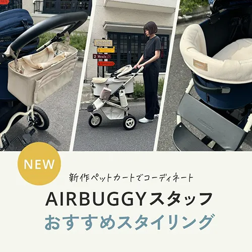 アイボリーホワイトおすすめセット | エアバギー公式オンラインストア