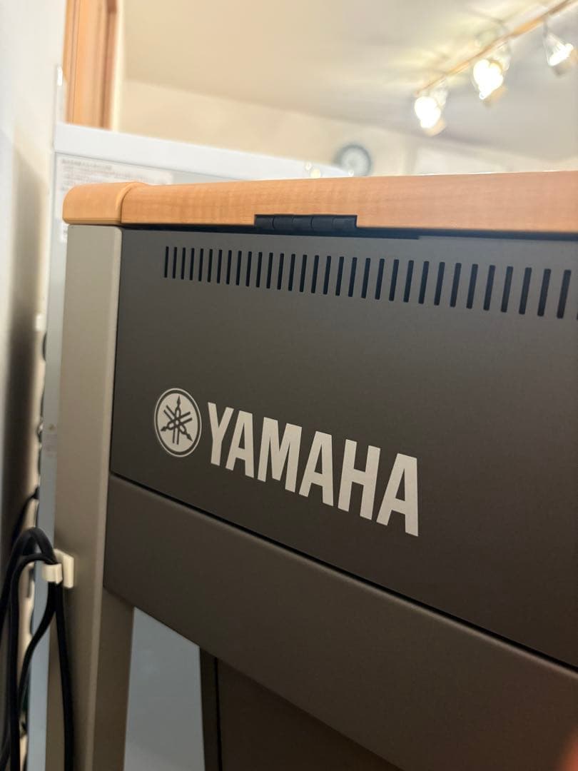 YAMAHA STAGEAカスタム ELS-01CH 2012年バイタライズ済 ELS-01CH